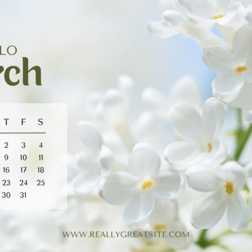 Calendar by Natalie Manas @NeatlyTidy