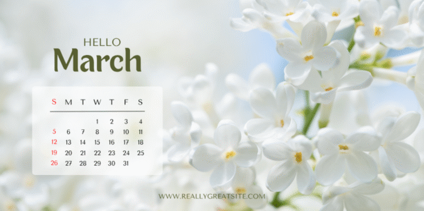 Calendar by Natalie Manas @NeatlyTidy